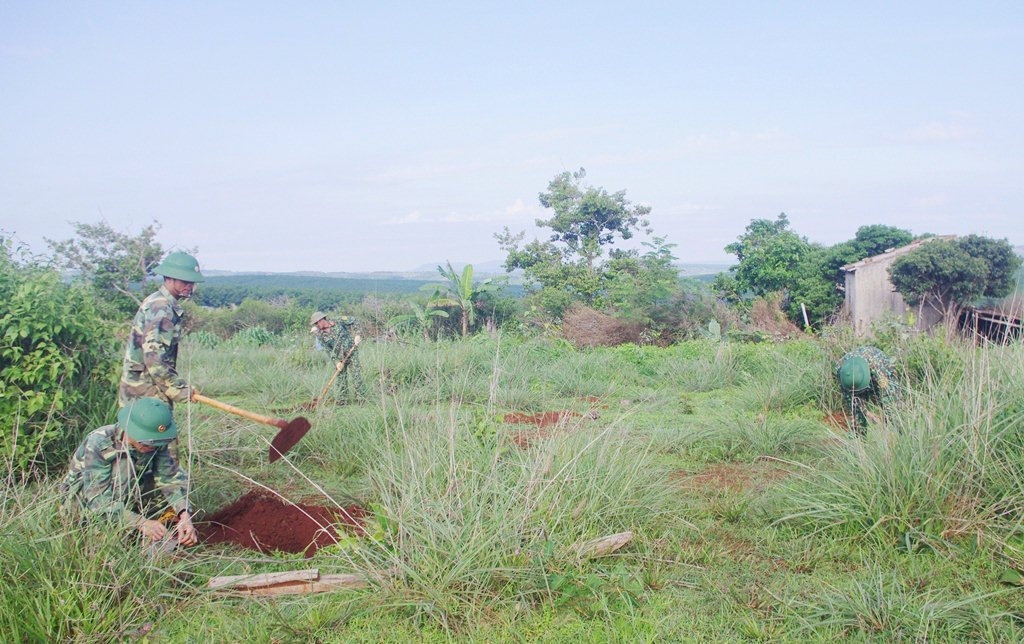Cán bộ, chiến sĩ Ban Chỉ huy Quân sự huyện tham gia trồng cây xanh xung quanh thao trường đơn vị