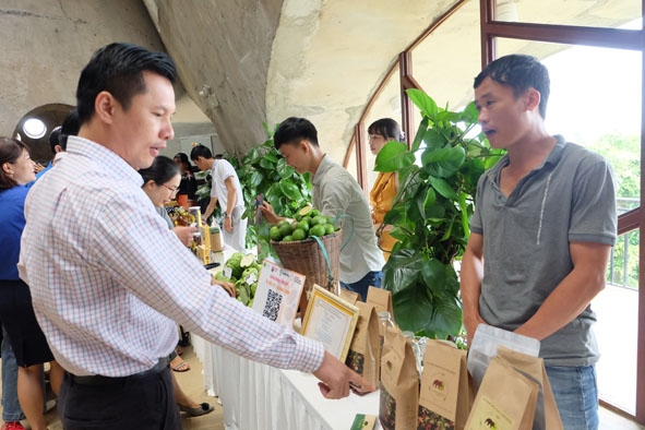 Các sản phẩm cà phê sạch, cà phê đặc sản của các start up được trưng bày tại Bảo tàng thế giới cà phê  trong khuôn khổ Hội thảo 
