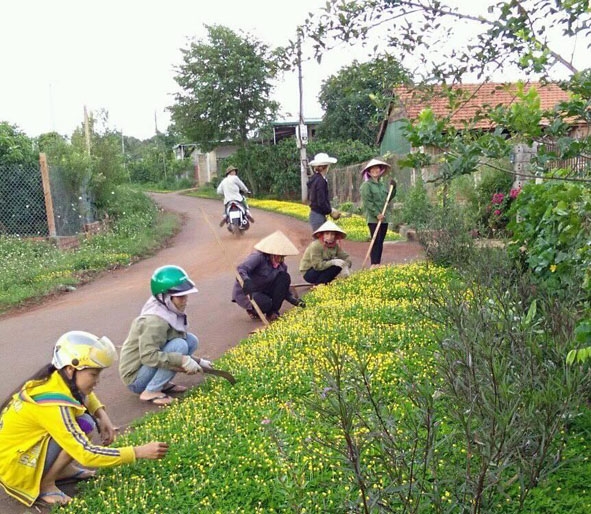 Phụ nữ xã Cư Dliê M’nông chăm sóc “đoạn đường hoa”. 