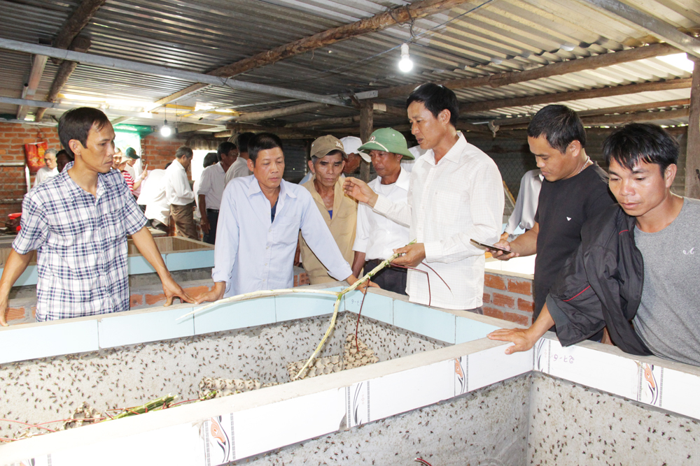 Đoàn tham quan tìm hiểu mô hình nuôi dế sạch tại cơ sở Ngọc Lễ
