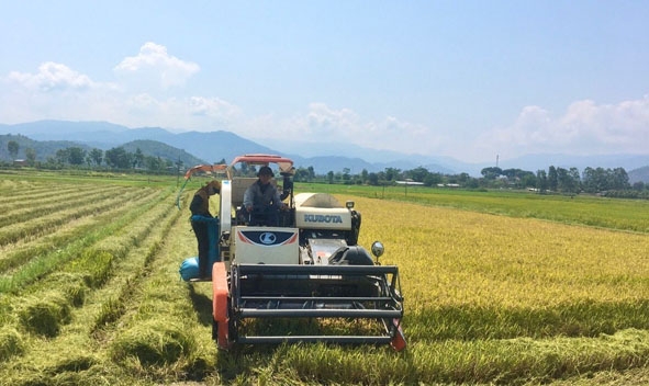 HTX Nông nghiệp Thành Tín (xã Đắk Nuê) áp dụng cơ giới hóa vào sản xuất nông nghiệp. 