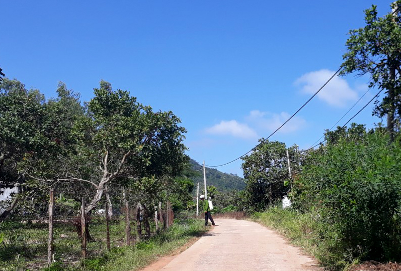 Người dân phun thuốc diệt cỏ tại một tuyến đường trên địa bàn xã Ea Răl, huyện Ea H’leo. 