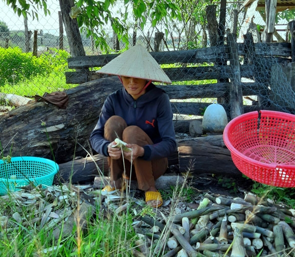 Chị Hiền bóc măng mang đi bán. 