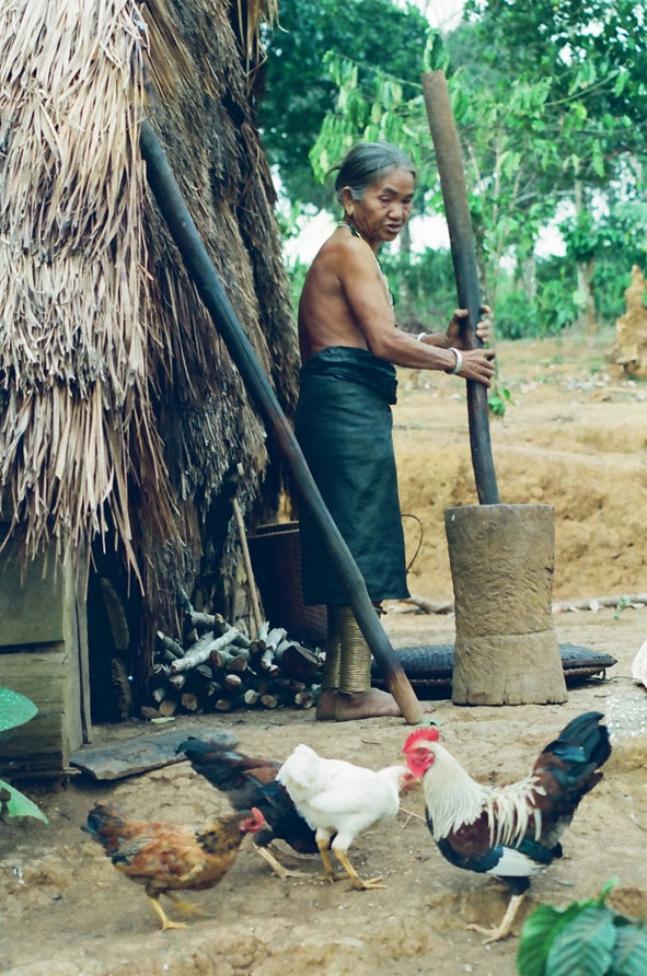 Cụ bà M’nông với công việc hằng ngày.