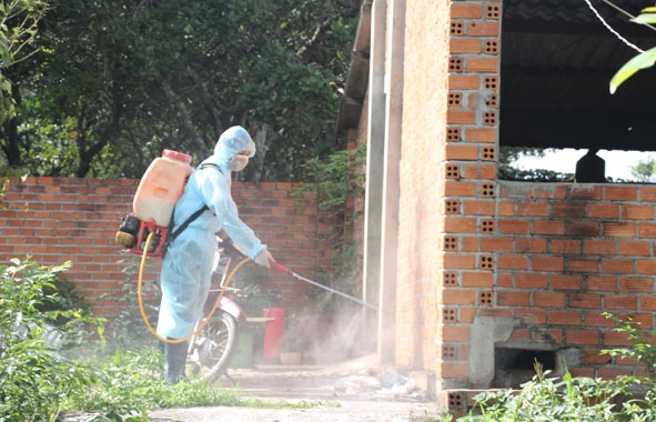 Cán bộ thú y phun thuốc tiêu độc khử trùng khu vực chuồng trại chăn nuôi của hộ gia đình có đàn heo bị dịch tả heo châu Phi ở TP. Buôn Ma Thuột. 