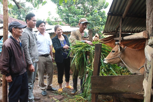 Ban Dân vận Huyện ủy Ea Kar cùng cấp ủy,  ban tự quản  buôn M'Oa,  xã Cư Huê tìm hiểu  tình hình phát triển  kinh tế của  người dân  trong buôn.  Ảnh: Nguyễn Xuân