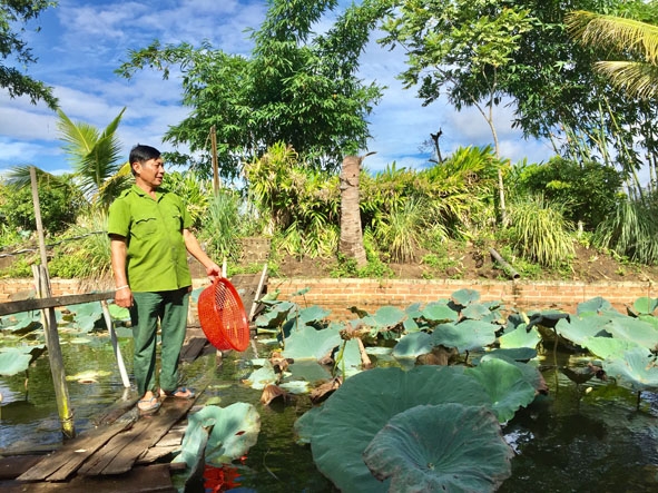 Ông Nguyễn Văn Thuần kiểm tra ao cá.  