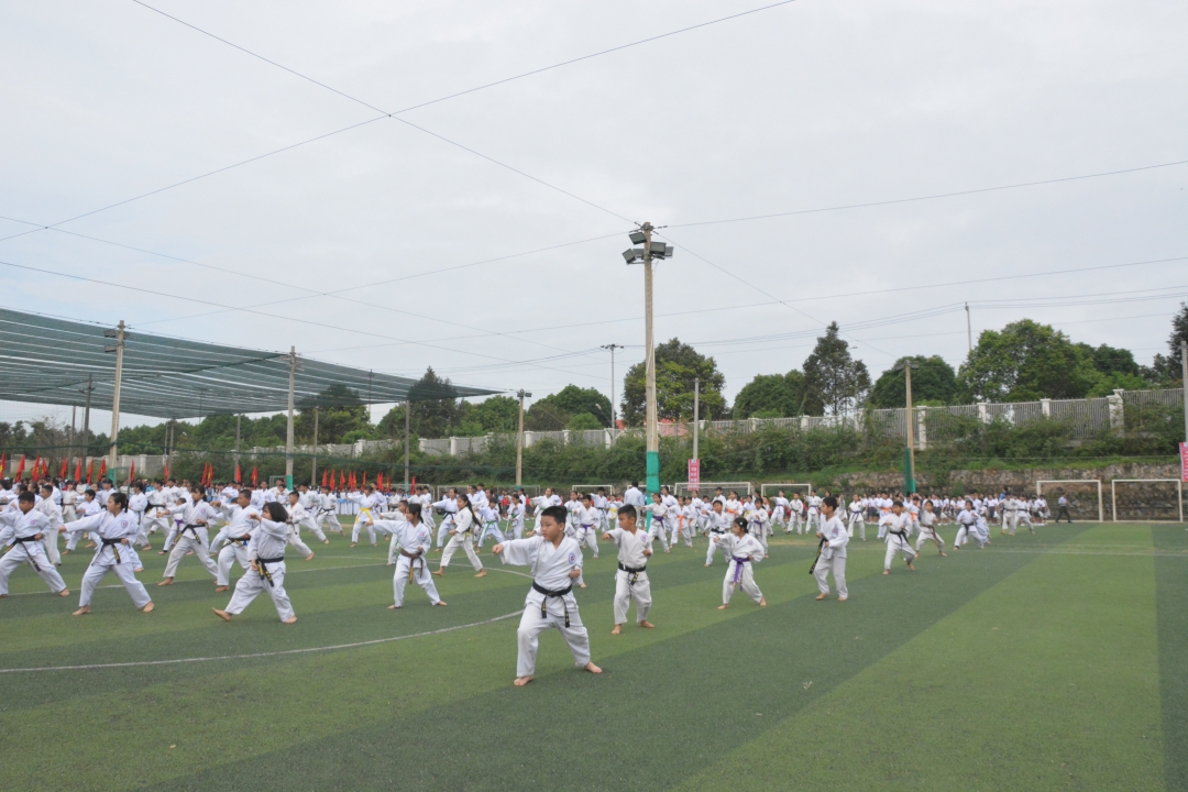 Võ sinh Vovinam biểu diễn võ thuật.