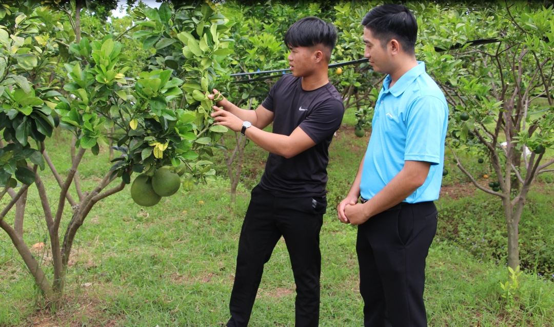 Đoàn viên, thanh niên học hỏi kinh nghiệm làm kinh tế của anh Lương Văn Tâm (bên trái)