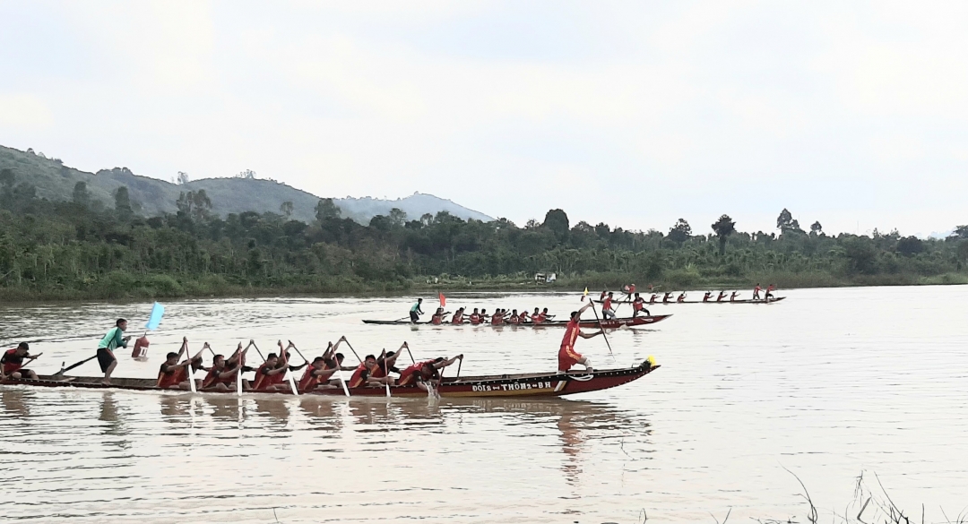 Các đội tham gia tranh tài