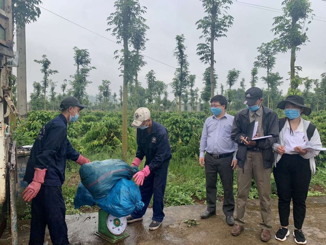 Thu gom  rác thải  độc hại  để vận chuyển đến nhà máy  xử lý tại tỉnh Quảng Nam. 