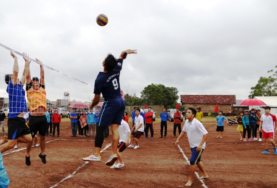 Đoàn viên thanh niên giao lưu bóng chuyền