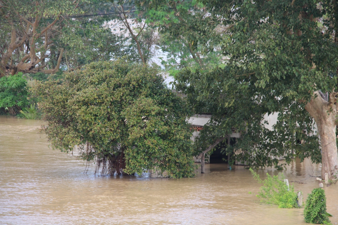 Một số