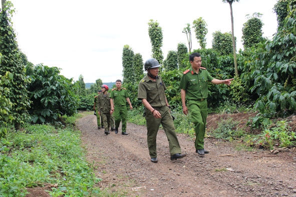 Công an xã Ea Hiao (huyện Ea H’leo) cùng tổ an ninh thôn 4C tuần tra kiểm soát rẫy cà phê của người dân. Ảnh: H.Ân