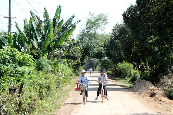 Đường giao thông buôn Phê (xã Ea Phê) do Nhà nước và nhân dân cùng làm. 