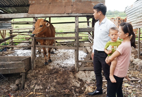 Cán bộ làm công tác giảm nghèo huyện Buôn Đôn giám sát việc sử dụng nguồn vốn vay để phát triển chăn nuôi của người dân trên địa bàn.