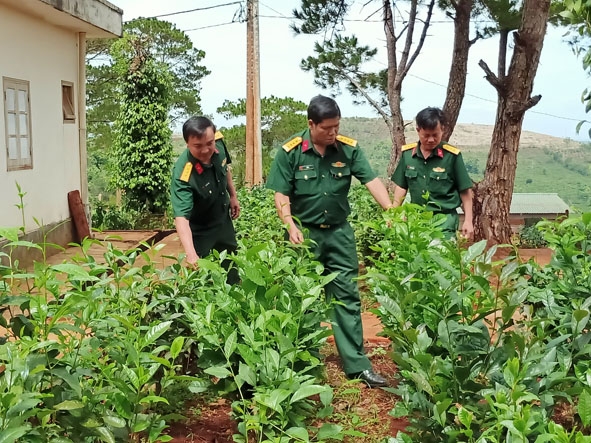Đoàn công tác của Bộ Chỉ huy Quân sự tỉnh kiểm tra phong trào thi đua “Xây dựng doanh trại chính quy, xanh, sạch, đẹp” ở Ban Chỉ huy Quân sự huyện Krông Búk.    