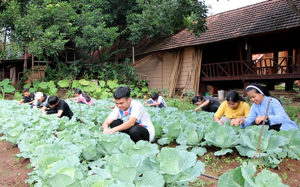 Học sinh dân tộc thiểu số tại Nhà lưu trú Têrêsa tham gia chăm sóc rau xanh ngoài giờ lên lớp.  