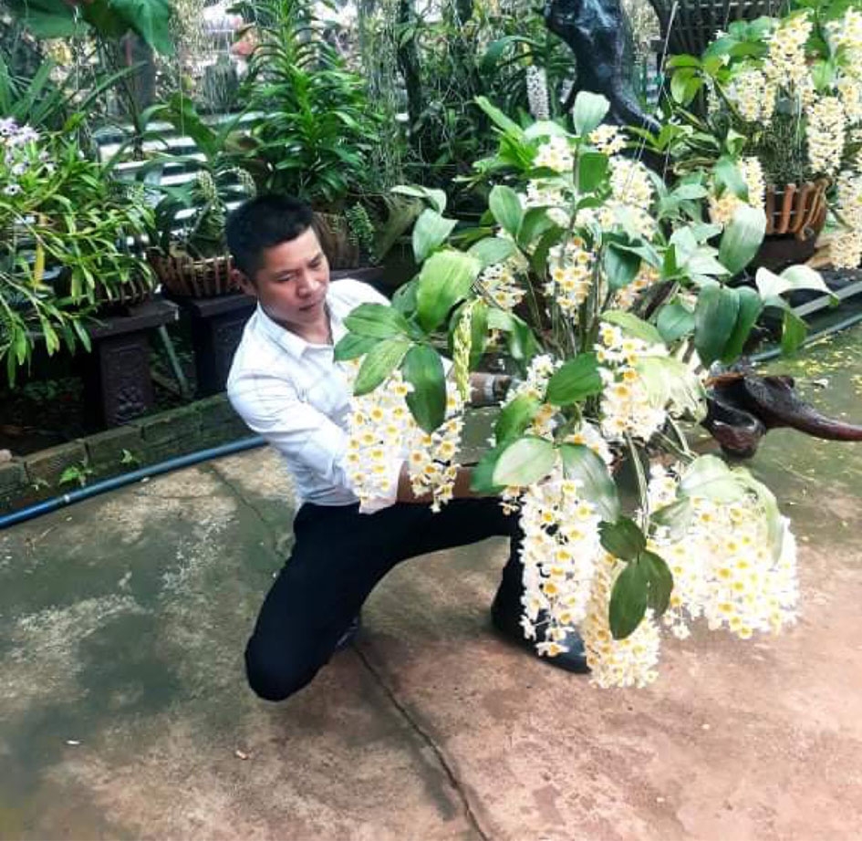 Anh Dương Đình Hải (xã Phú Lộc, huyện Krông Năng) bên giò lan kiều vuông của gia đình. 
