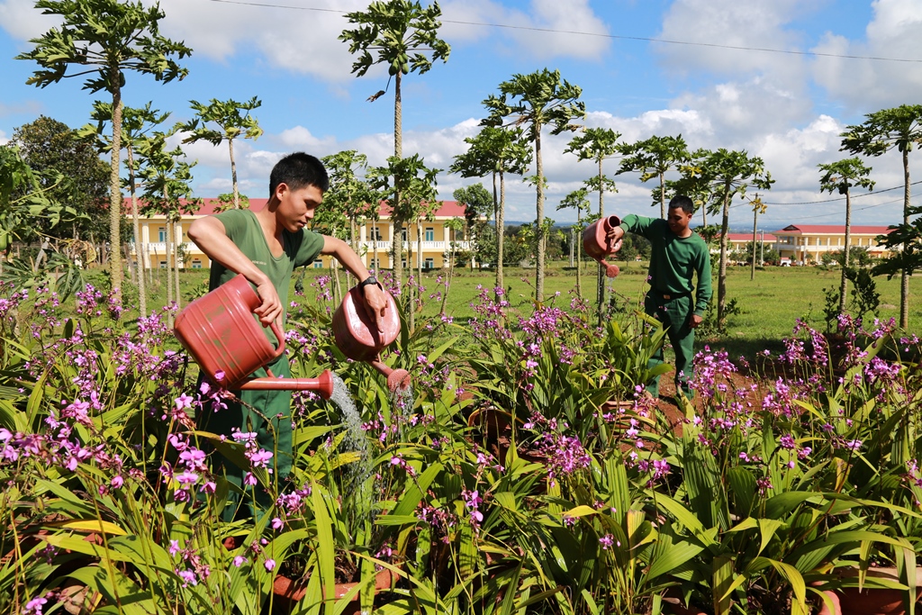 Vườn ươm hoa Tết của Tiểu đoàn 8.