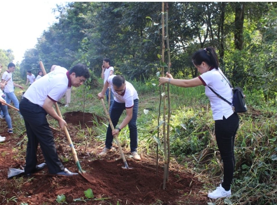 Phó Giám đốc Agribank Đắk Lắk Phan Thông Thái (bìa trái) tham gia trồng cây xanh tại Lâm viên  TP. Buôn Ma Thuột. 