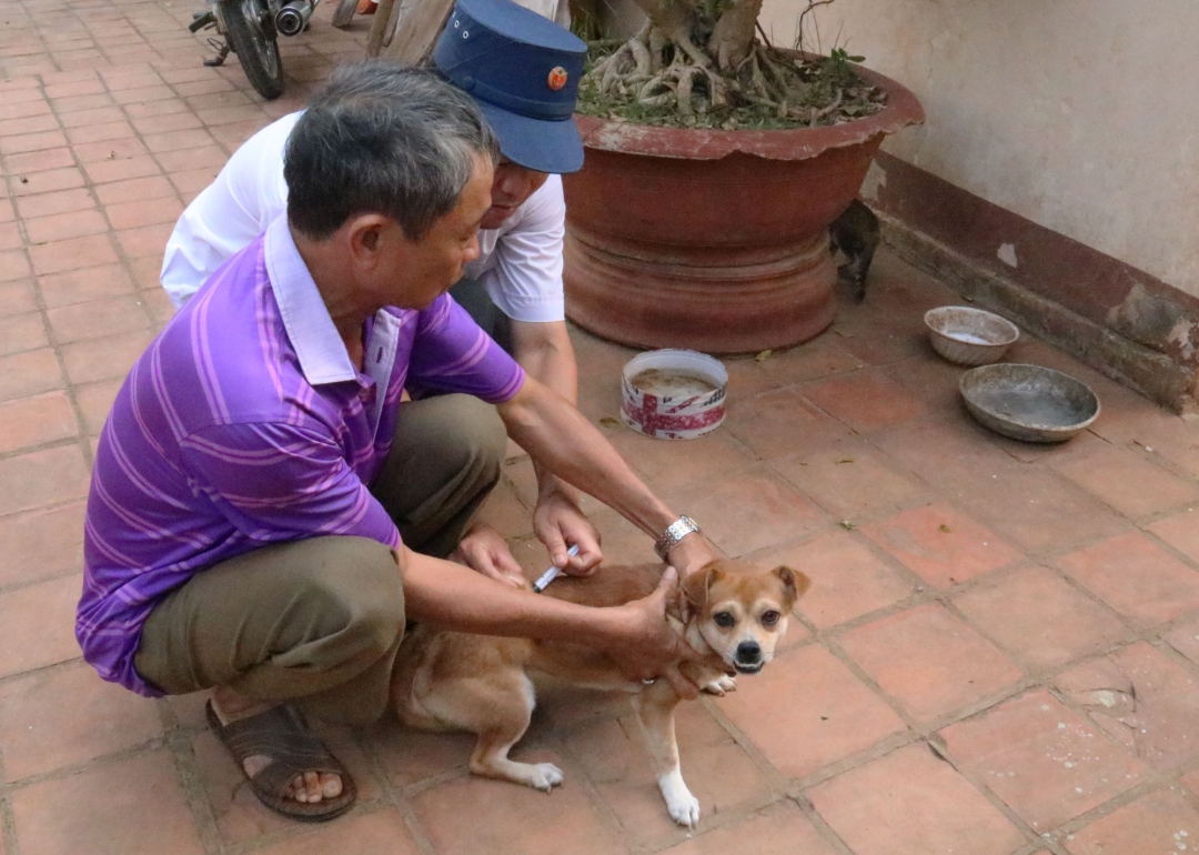 Cán bộ thú y phường Tân Lợi (TP. Buôn Ma Thuột) tiêm phòng dại cho chó, mèo  tại nhà của người dân. 