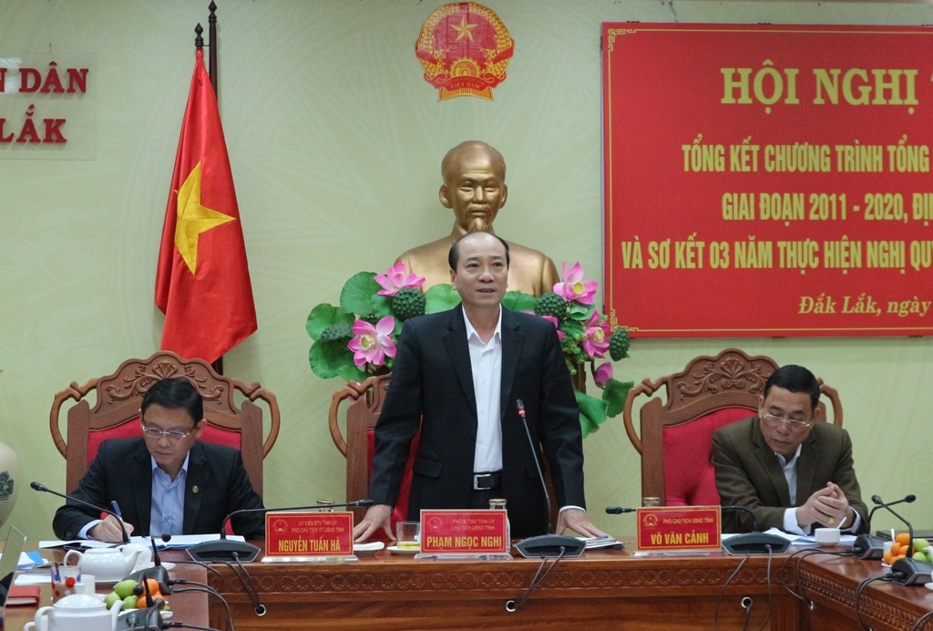 Phó Bí thư Tỉnh ủy, Chủ tịch UBND tỉnh Phạm Ngọc Nghị phát biểu tại hội nghị.