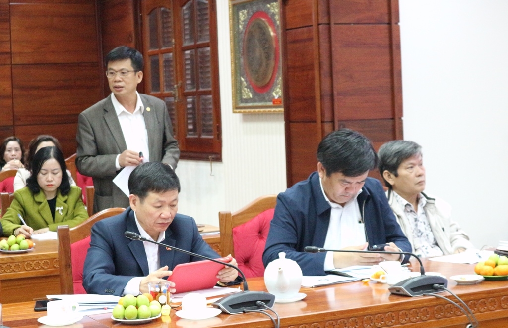 Đại biểu đóng góp ý kiến thảo luận.