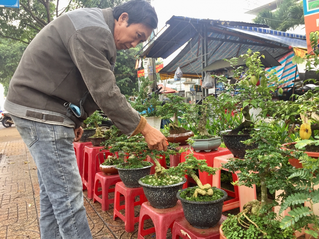 Nghệ nhân Nguyễn Văn Tuấn (thị trấn Phước An, huyện Krông Pắc) tỉ mẩn chăm sóc các chậu bonsai mini. Ảnh: Đ.Dũng