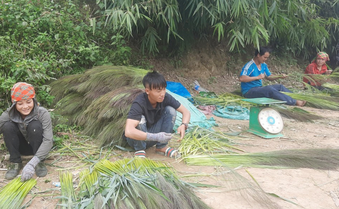 Người dân bán trực tiếp cho thương lái trên đường đi về.jpg