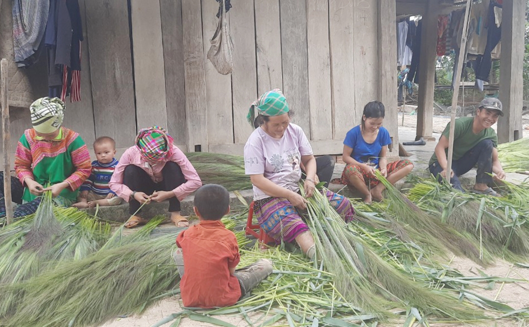 Gia đình ông Lý Văn Thắng sơ chế bông chít trước khi bán cho thương lái. 