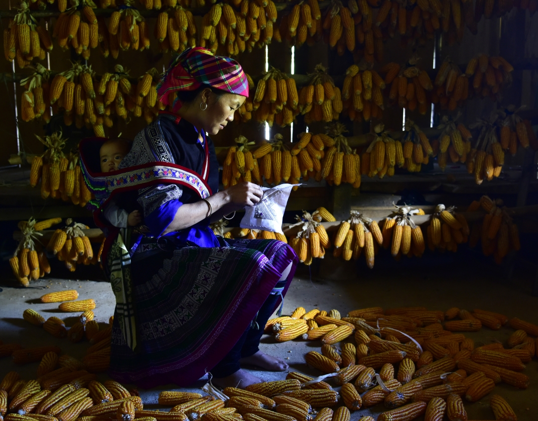 Sắc màu no ấm 