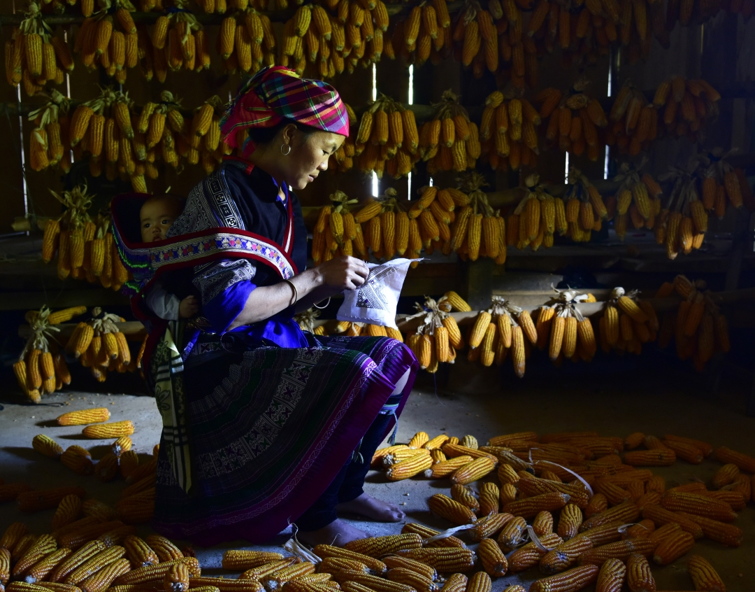 Sắc màu no ấm 