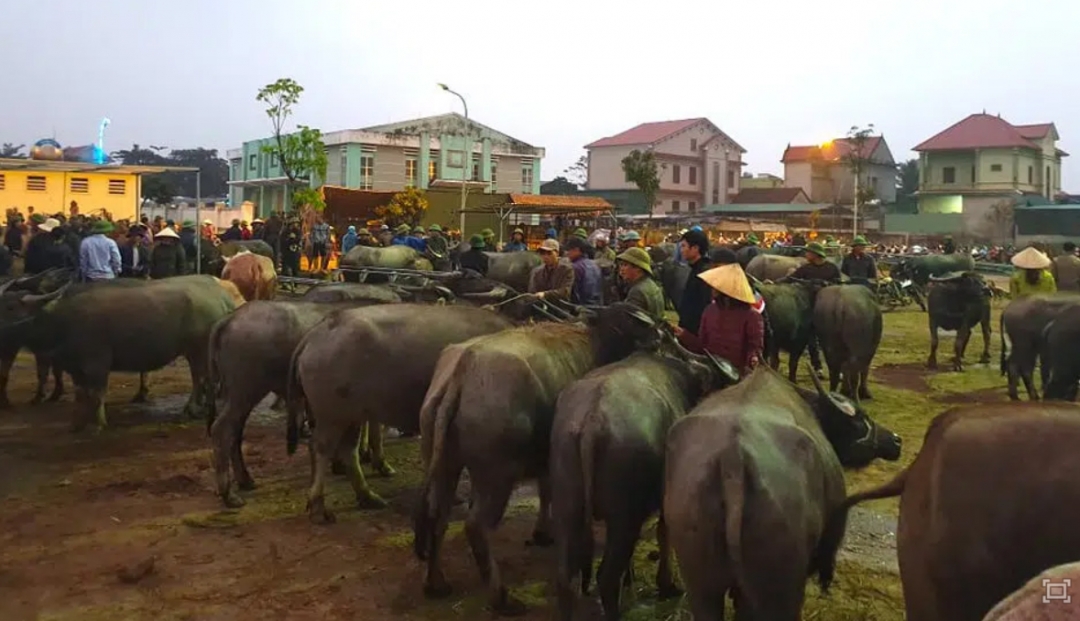 Chợ trâu Ú