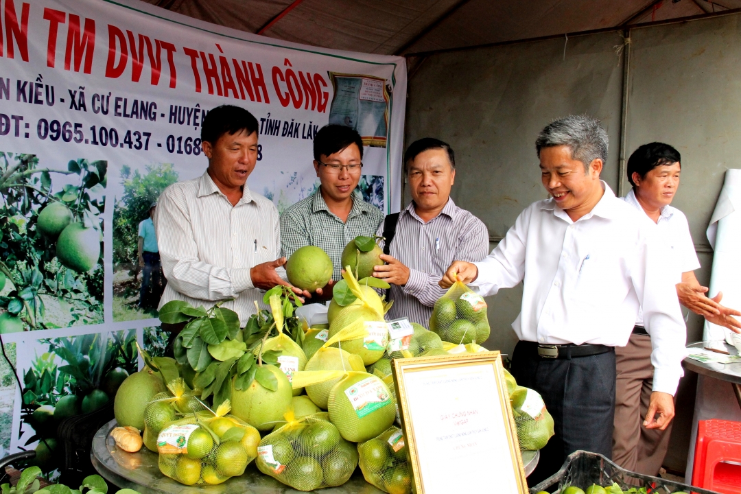 Chủ tịch UBND huyện Ea Kar Nguyễn Văn Hà (bìa phải) tham quan gian trưng bày sản phẩm cây ăn quả tại Hội thảo phát triển cây ăn quả huyện Ea Kar