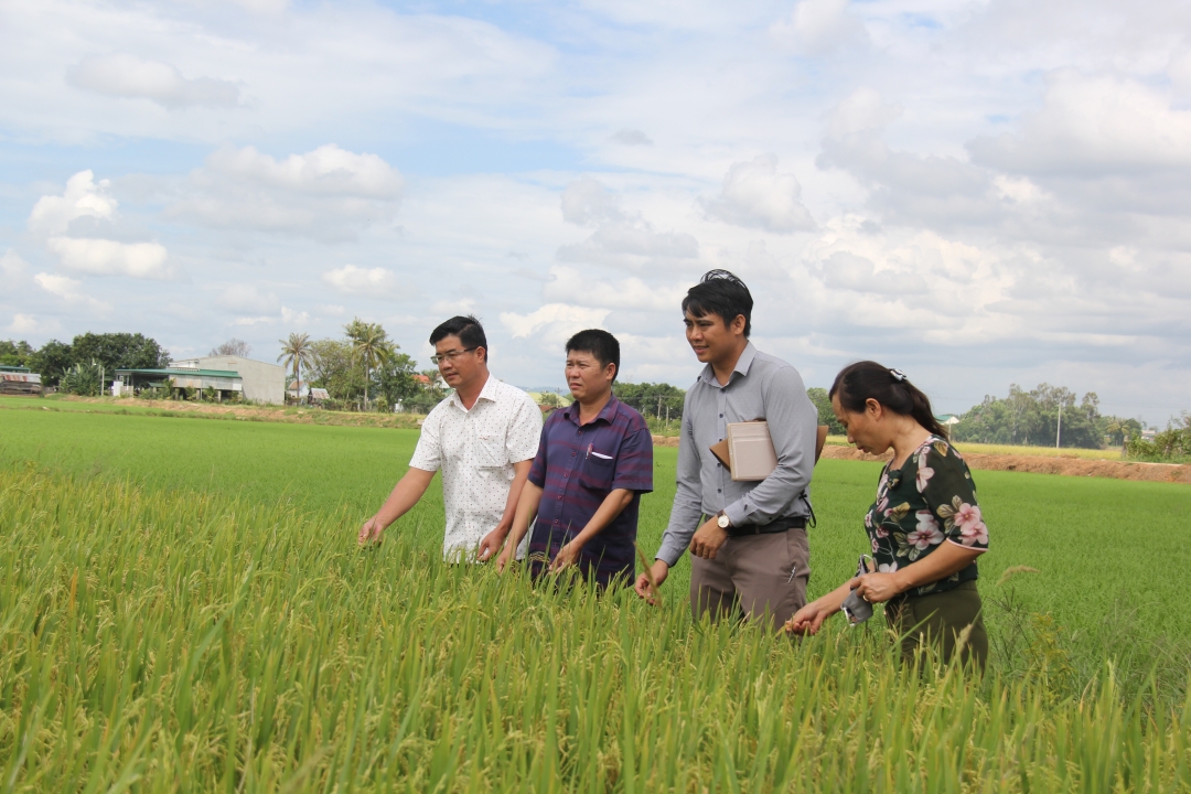 Bí thư Huyện ủy Ea Súp Nguyễn Thiên Văn thăm một dự án nông nghiệp trên địa bàn huyện 