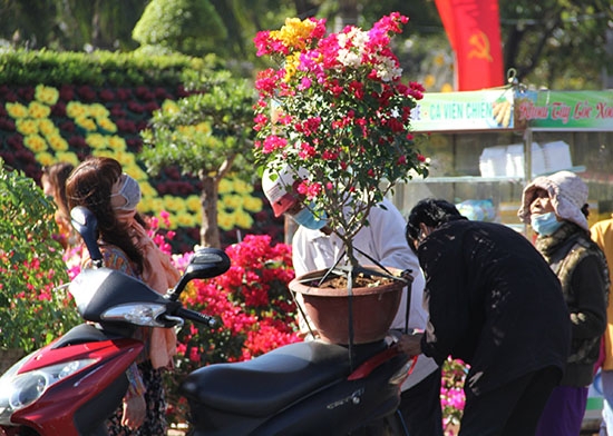 Khách chọn mua hoa mang về nhà