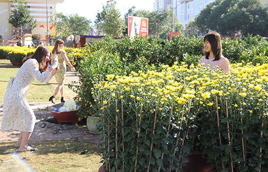 Nhiều người đến chợ hoa xuân để tham quan, khảo giá, chụp ảnh lưu niệm