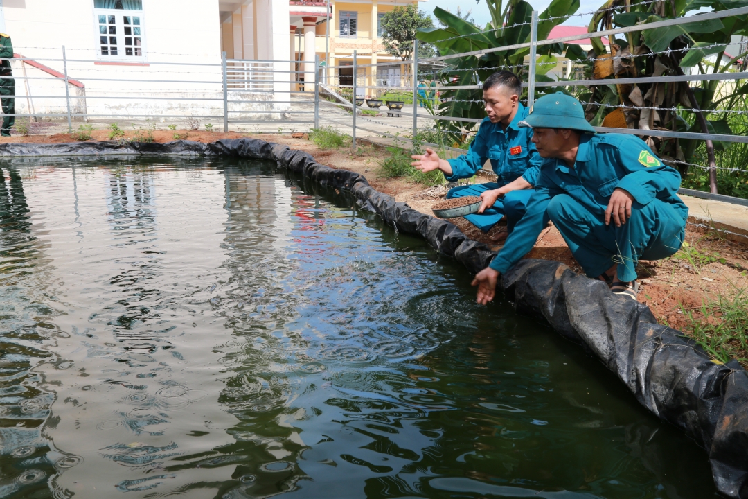 Hồ cá trê lai của Tiểu đội dân quân thường trực xã Đắk Phơi.