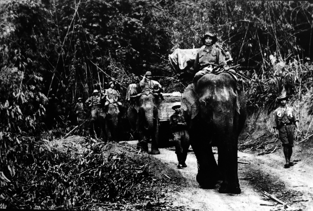 Trung đoàn 70 sử dụng voi vận chuyển hàng từ làng Ho (tây Quảng Bình) vào các trạm 1, 2, 3, 4, 5 Bắc đường số 9, tháng 4-1962. Ảnh tư liệu