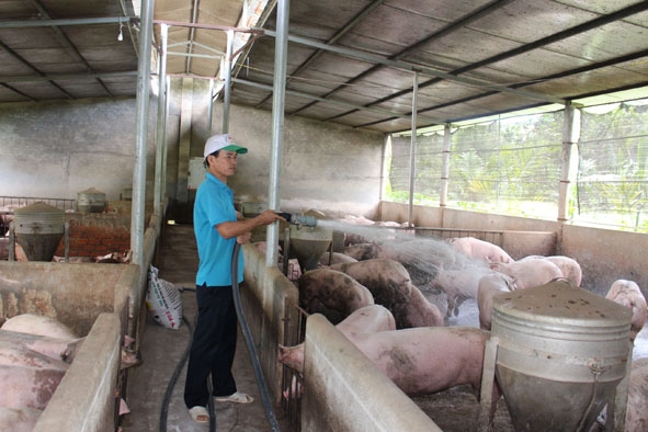 Người chăn nuôi ở huyện Buôn Đôn chú trọng vệ sinh chuồng trại, thực hiện các biện pháp phòng, chống dịch bệnh nguy hiểm.