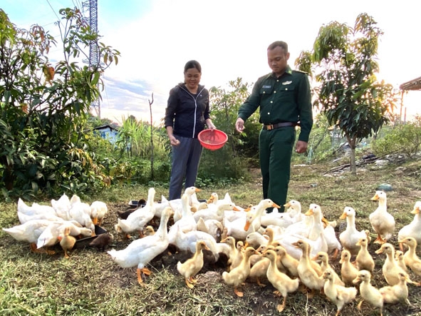 Cán bộ Đồn Biên phòng Sêrêpốk hướng dẫn kỹ thuật chăn nuôi cho gia đình chị Hoàng Thị Thoa. 
