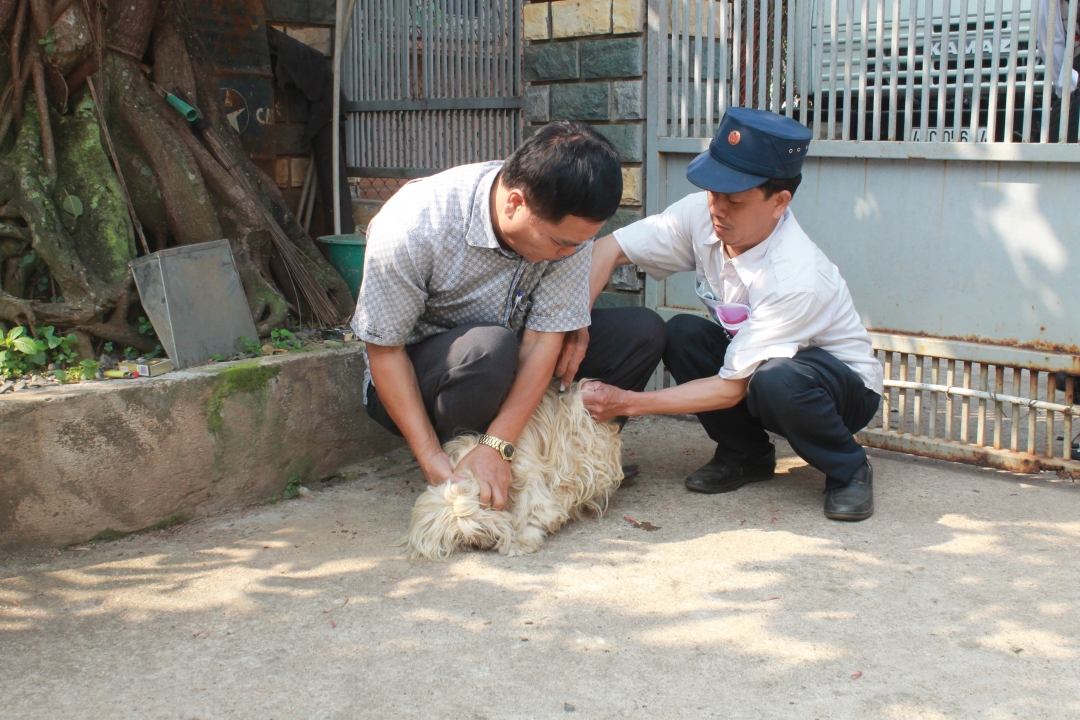 TP. Buôn Ma Thuột