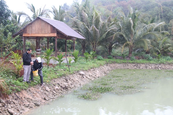 Lãnh đạo UBND xã Băng Adrênh khảo sát mô hình làm kinh tế mới của người dân trên địa bàn.