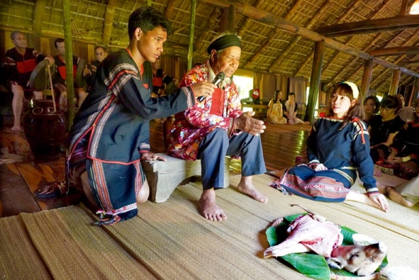Các nghi lễ truyền thống được tổ chức thường xuyên ở Khu du lịch sinh thái Akô Ea. 