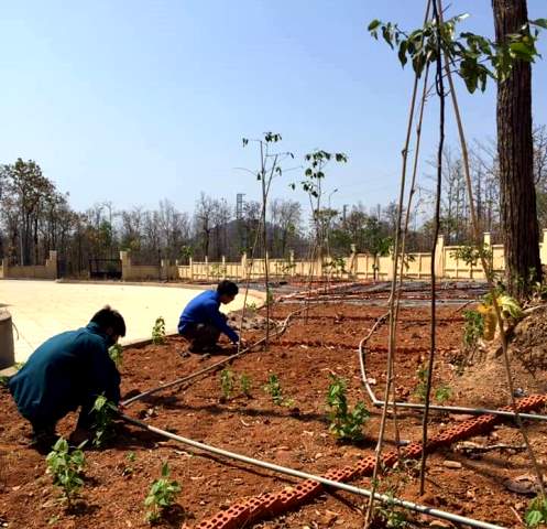 Đoàn viên Chi Đoàn Trung tâm Bảo tồn voi 