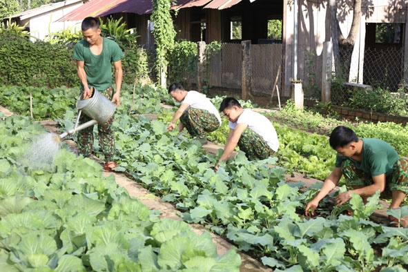 Cán bộ, chiến sĩ Đồn Biên phòng Yók Đôn tăng gia sản xuất.