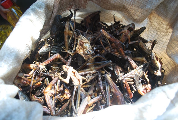 Món choạc choạc khô nướng than hồng.
