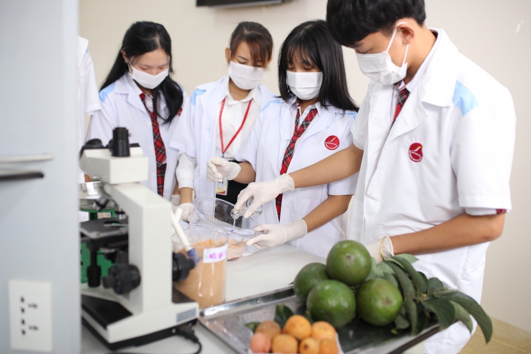 Dự án Ống hút từ hạt bơ của các em học sinh Trường Tiểu học, THCS, THPT Hoàng Việt đoạt giải Ba tại Cuộc thi Khởi nghiệp, khởi sự kinh doanh tỉnh Đắk Lắk lần thứ II năm 2020.