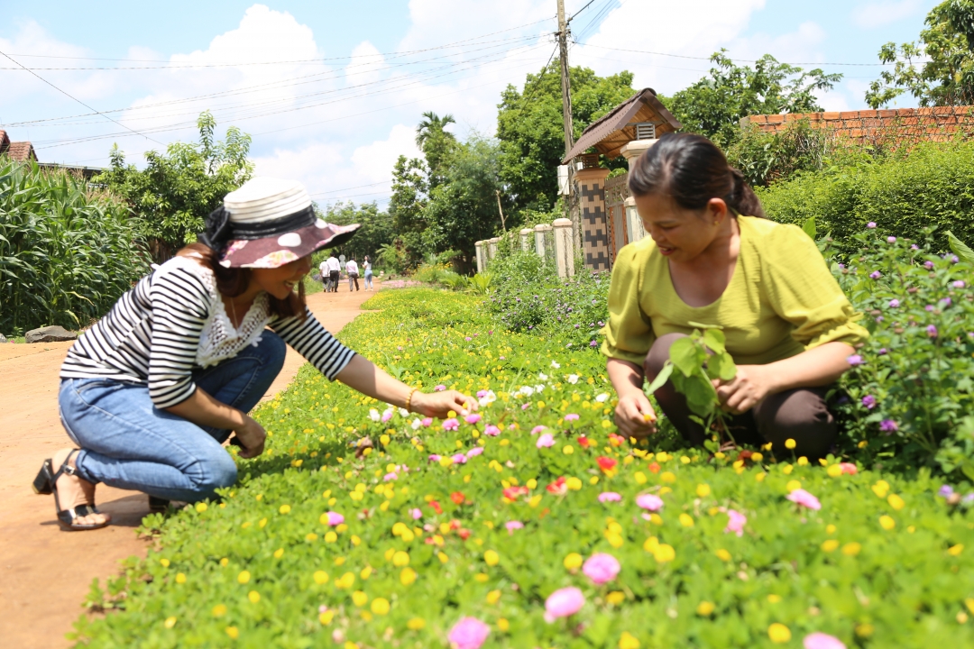 Người dân xã Ea Drơng trồng hoa làm đẹp  đường làng ngõ xóm. 